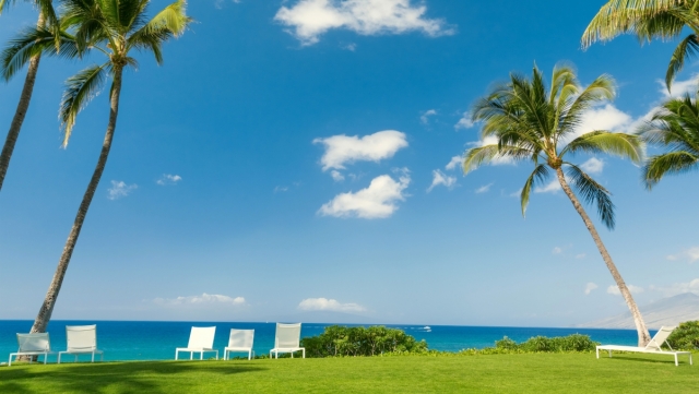 bat365集团：园林绿化常见飞虫