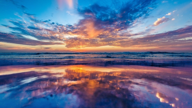 bat365：园林绿化的灌木花