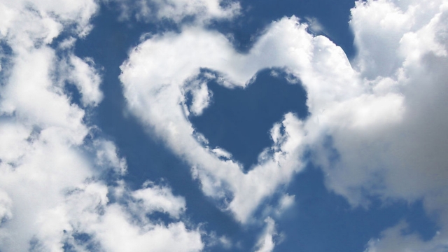 bat365公司：园林绿化用地分类