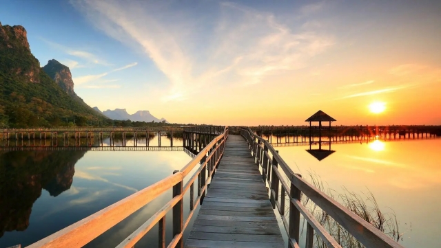 bat365集团：园林绿化树上用的卡子