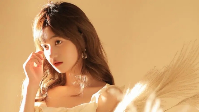 bat365公司：园林绿化的草花