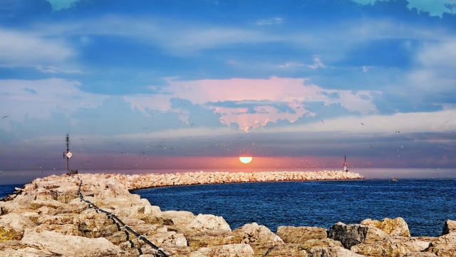 bat365公司：园林绿化树虫害