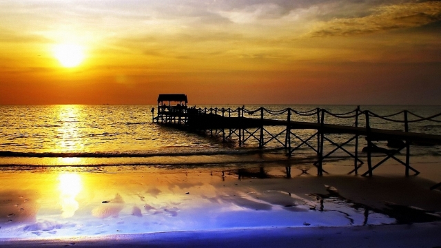 园林绿化和花卉的关系