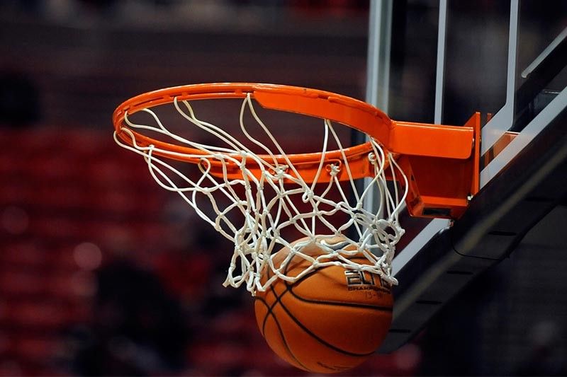 bat365公司：园林绿化常绿阔叶树