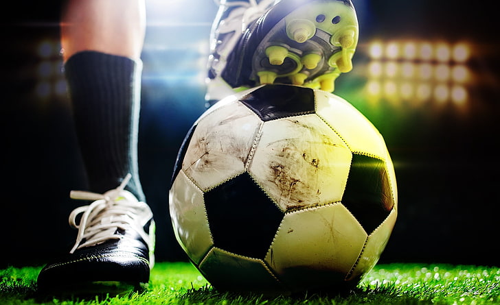 bat365：园林绿化养护分类